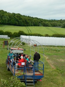 Tractor - Craigies Farm 