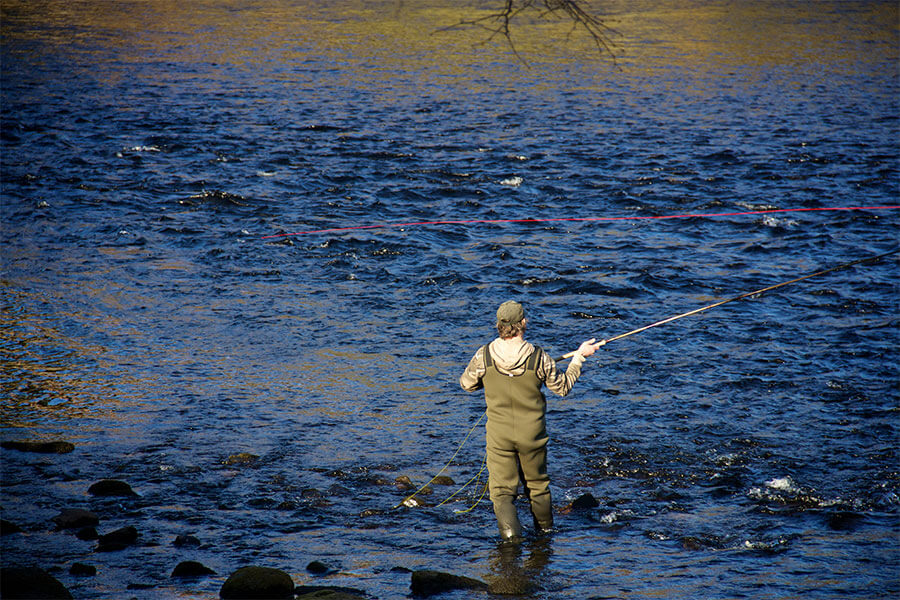 A fisherman standing fishing for salmon in a river