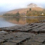 Creels in a loch