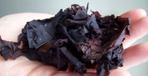 Image: Mara Seaweed.